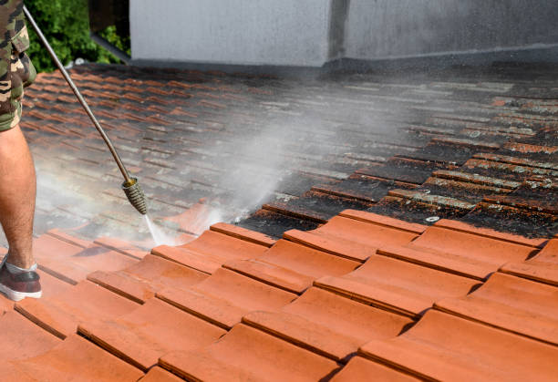 Best Deck Cleaning Services  in Nevada City, CA
